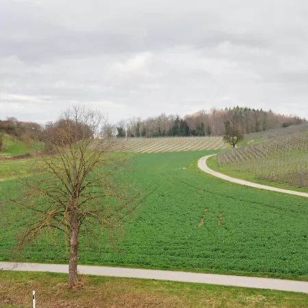 アパート Strobel